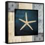 Blue Sea Starfish-LightBoxJournal-Framed Stretched Canvas