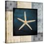 Blue Sea Starfish-LightBoxJournal-Stretched Canvas