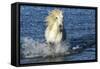 Blue Sea-PH Burchett-Framed Stretched Canvas