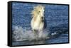 Blue Sea-PH Burchett-Framed Stretched Canvas