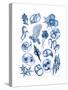 Blue Sea-Albert Koetsier-Stretched Canvas
