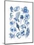 Blue Sea-Albert Koetsier-Mounted Premium Giclee Print
