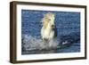 Blue Sea-PH Burchett-Framed Photographic Print