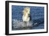 Blue Sea-PH Burchett-Framed Photographic Print