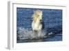 Blue Sea-PH Burchett-Framed Photographic Print