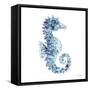 Blue Seahorse-Patti Bishop-Framed Stretched Canvas