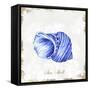 Blue Seashell-Eva Watts-Framed Stretched Canvas