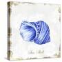 Blue Seashell-Eva Watts-Stretched Canvas