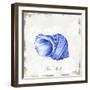 Blue Seashell-Eva Watts-Framed Art Print