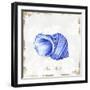 Blue Seashell-Eva Watts-Framed Art Print