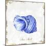 Blue Seashell-Eva Watts-Mounted Art Print