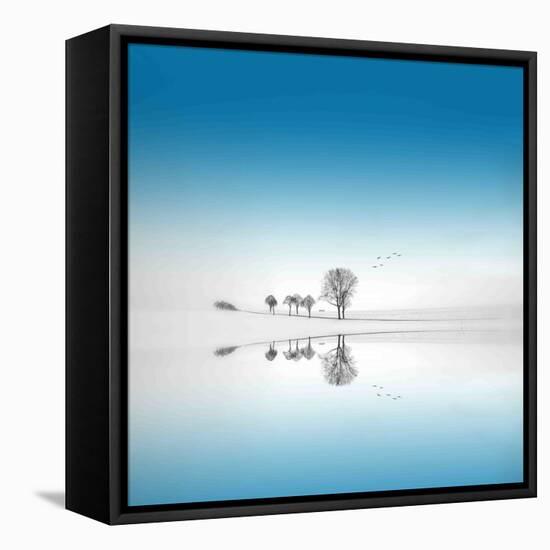 Blue Season-Philippe Sainte-Laudy-Framed Stretched Canvas