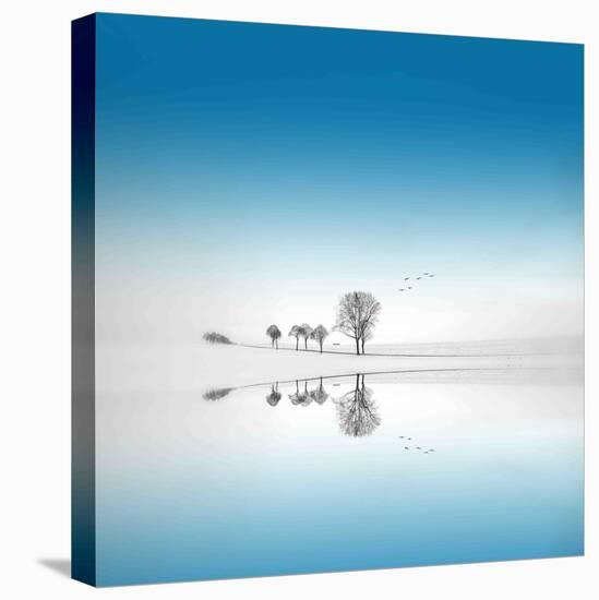 Blue Season-Philippe Sainte-Laudy-Stretched Canvas
