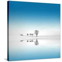 Blue Season-Philippe Sainte-Laudy-Stretched Canvas