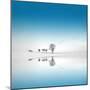 Blue Season-Philippe Sainte-Laudy-Mounted Photographic Print