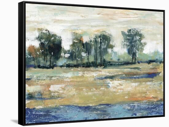 Blue Shade I-Tim OToole-Framed Stretched Canvas