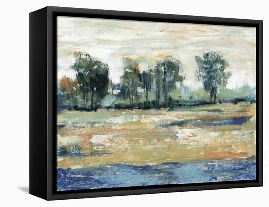 Blue Shade I-Tim OToole-Framed Stretched Canvas