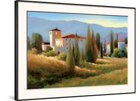 Blue Shadows in Tuscany I-Carol Jessen-Framed Art Print