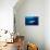 Blue shark and Pilot fish, Pico Island, Azores, Portugal-Franco Banfi-Stretched Canvas displayed on a wall