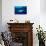 Blue shark and Pilot fish, Pico Island, Azores, Portugal-Franco Banfi-Stretched Canvas displayed on a wall