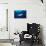 Blue shark and Pilot fish, Pico Island, Azores, Portugal-Franco Banfi-Stretched Canvas displayed on a wall