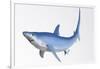 Blue Shark Profile-null-Framed Art Print