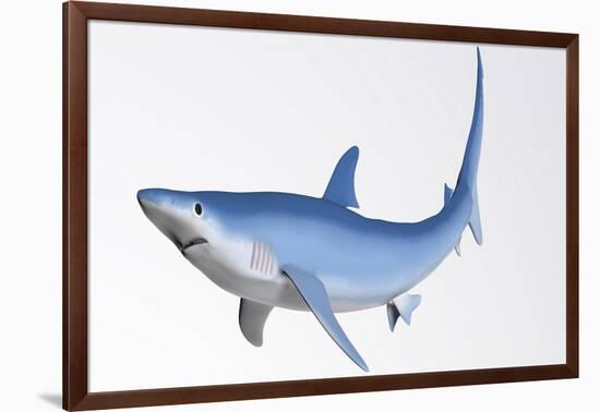 Blue Shark Profile-null-Framed Art Print