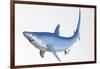 Blue Shark Profile-null-Framed Art Print