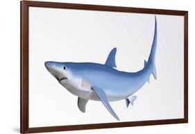 Blue Shark Profile-null-Framed Art Print