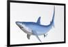 Blue Shark Profile-null-Framed Art Print