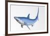 Blue Shark Profile-null-Framed Art Print