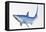 Blue Shark Profile-null-Framed Stretched Canvas