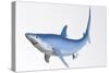 Blue Shark Profile-null-Stretched Canvas