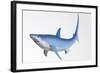 Blue Shark Profile-null-Framed Art Print