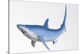 Blue Shark Profile-null-Stretched Canvas