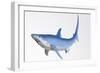 Blue Shark Profile-null-Framed Art Print