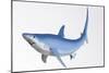 Blue Shark Profile-null-Mounted Art Print
