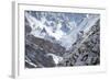 Blue Sheep (Pseudois Nayaur) Hemis National Park, Jammu and Kashmir, India-Wim van den Heever-Framed Photographic Print