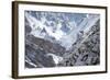 Blue Sheep (Pseudois Nayaur) Hemis National Park, Jammu and Kashmir, India-Wim van den Heever-Framed Photographic Print