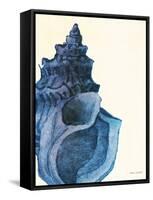 Blue Shell I-Lanie Loreth-Framed Stretched Canvas