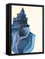 Blue Shell I-Lanie Loreth-Framed Stretched Canvas