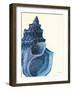 Blue Shell I-Lanie Loreth-Framed Art Print