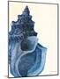 Blue Shell I-Lanie Loreth-Mounted Art Print