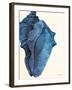 Blue Shell II-Lanie Loreth-Framed Art Print