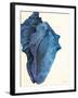 Blue Shell II-Lanie Loreth-Framed Art Print