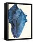 Blue Shell II-Lanie Loreth-Framed Stretched Canvas