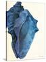 Blue Shell II-Lanie Loreth-Stretched Canvas