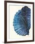 Blue Shell III-Lanie Loreth-Framed Art Print