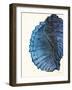 Blue Shell III-Lanie Loreth-Framed Art Print