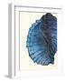 Blue Shell III-Lanie Loreth-Framed Art Print
